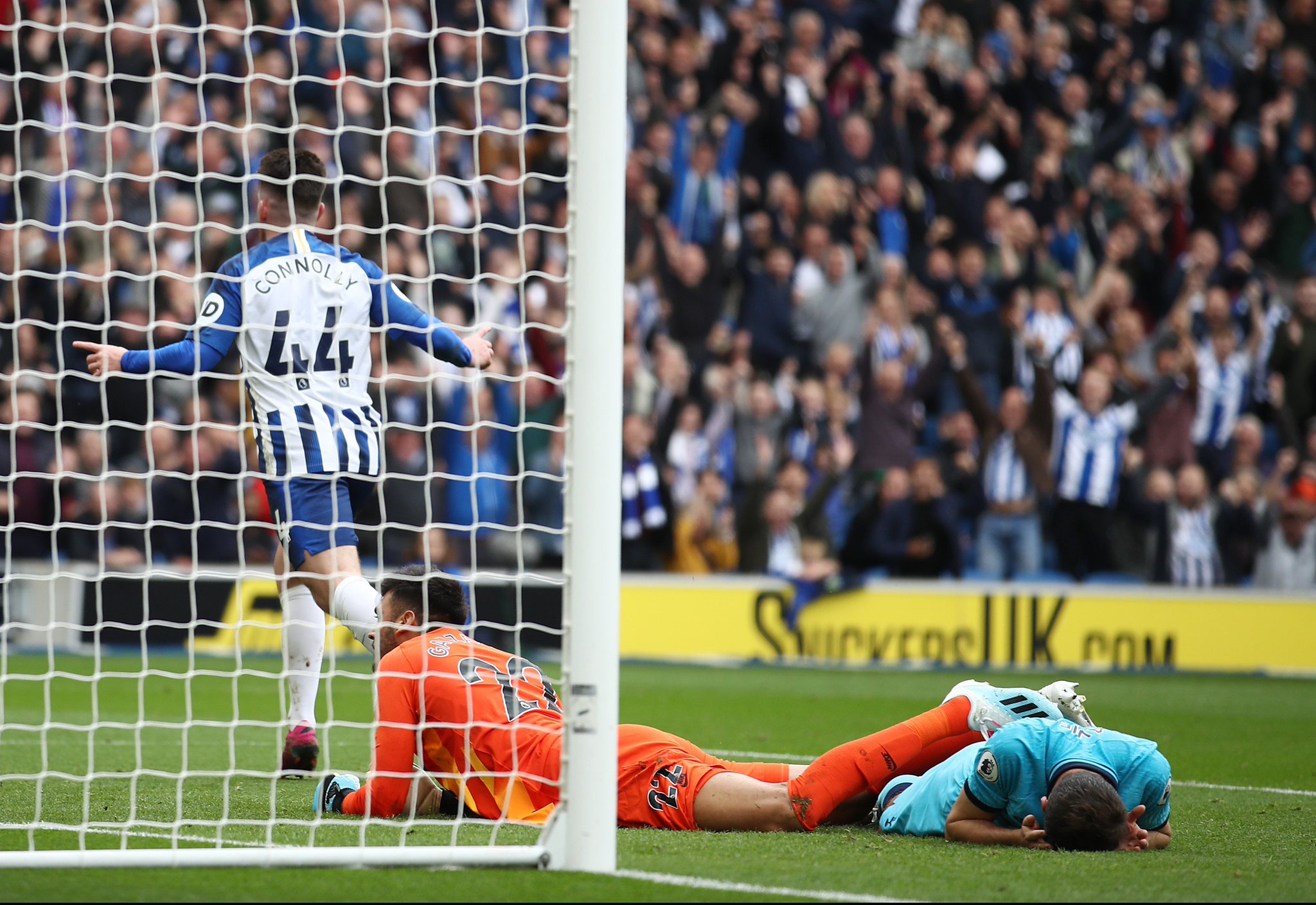 为什么谢什 为什么谢什